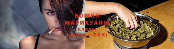 тгк Переславль-Залесский
