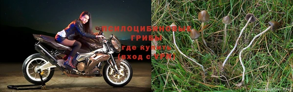 героин Пестово