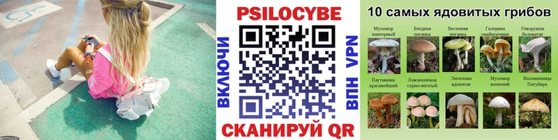 купить наркотик  Урень  Псилоцибиновые грибы ЛСД 